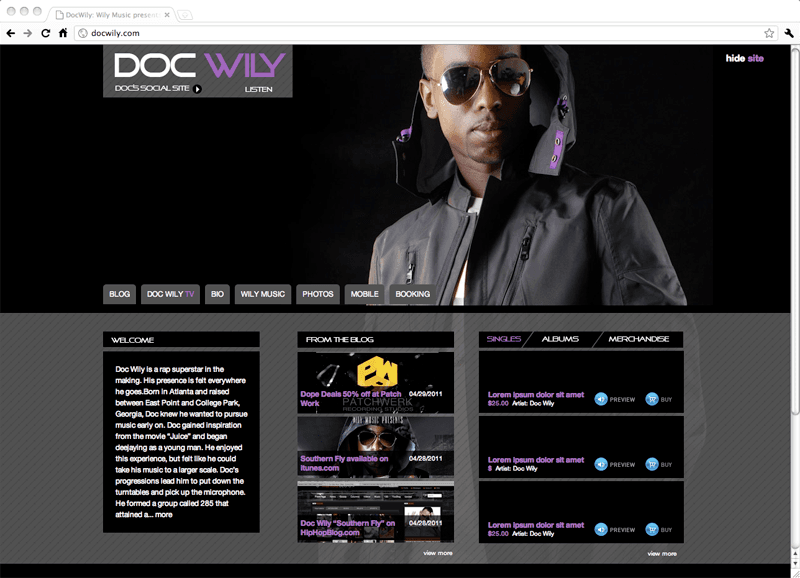 Music Artist Website screenshot